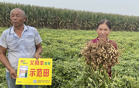 不朽情缘_首页官网入口